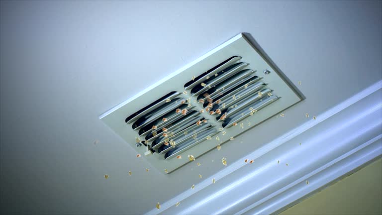 Best Ventilation Cleaning Services  in Wichita, KS